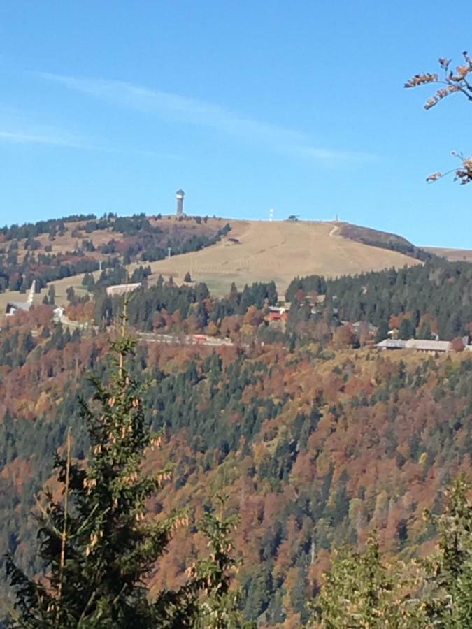 Chalet Breitnauschoen Экстерьер фото